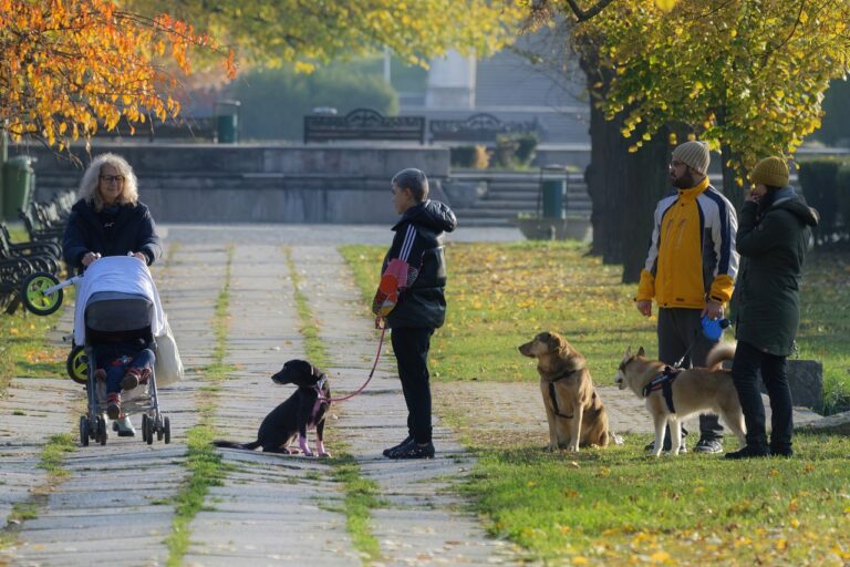 From Couch to 5K: A Beginner’s Guide to Running for Fitness